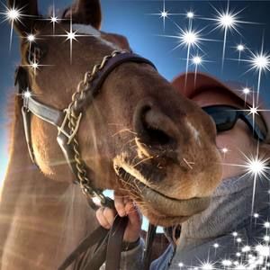 Meet your Posher, Susie